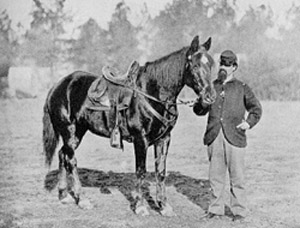 Peter Boyer photo with horse