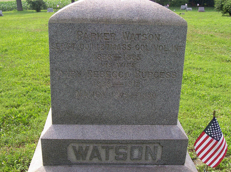 Cemetery headstone for Watson